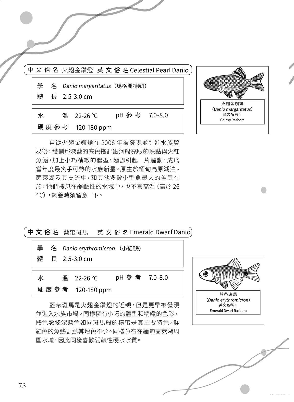 第17回30