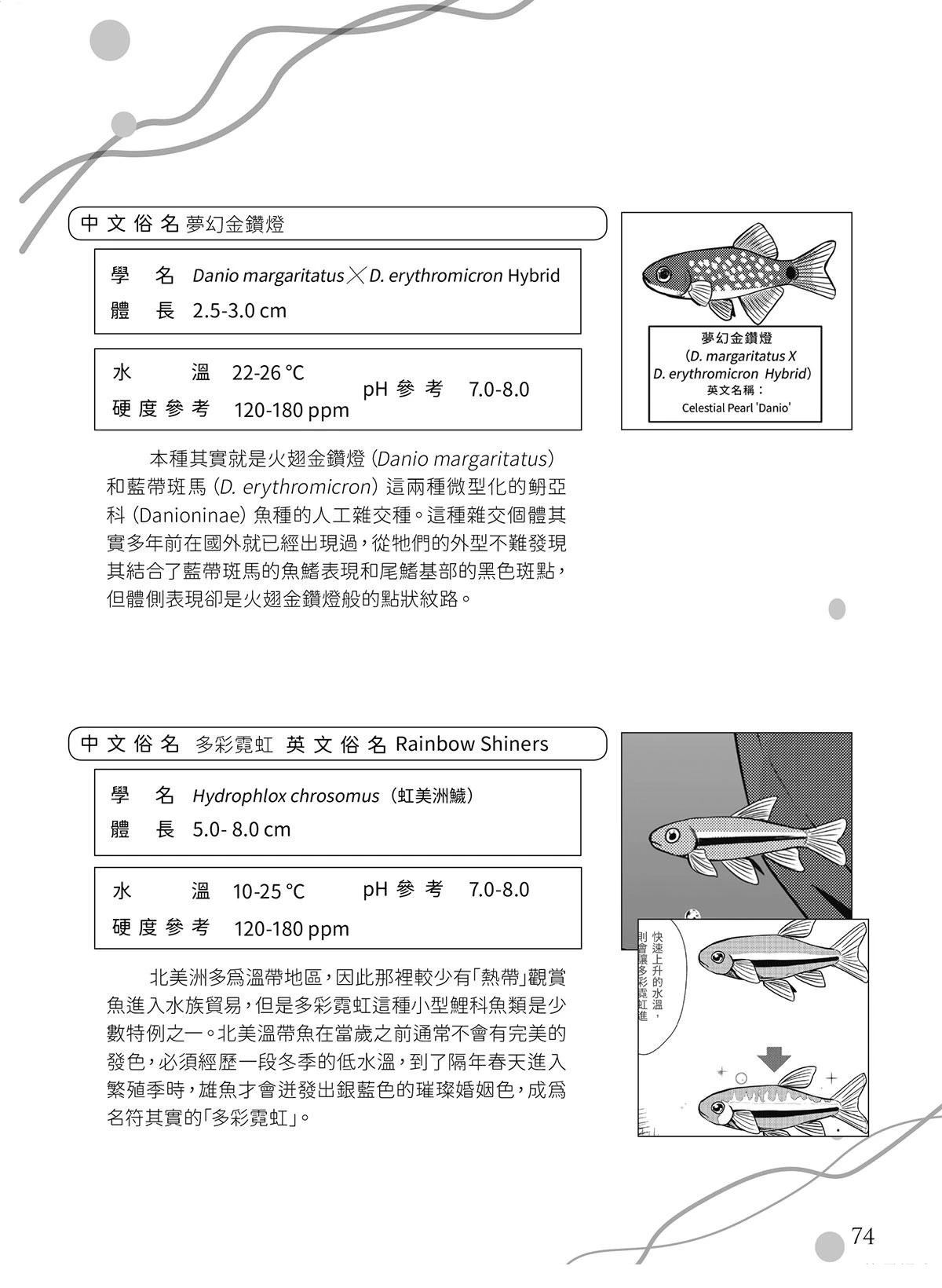 第17回31