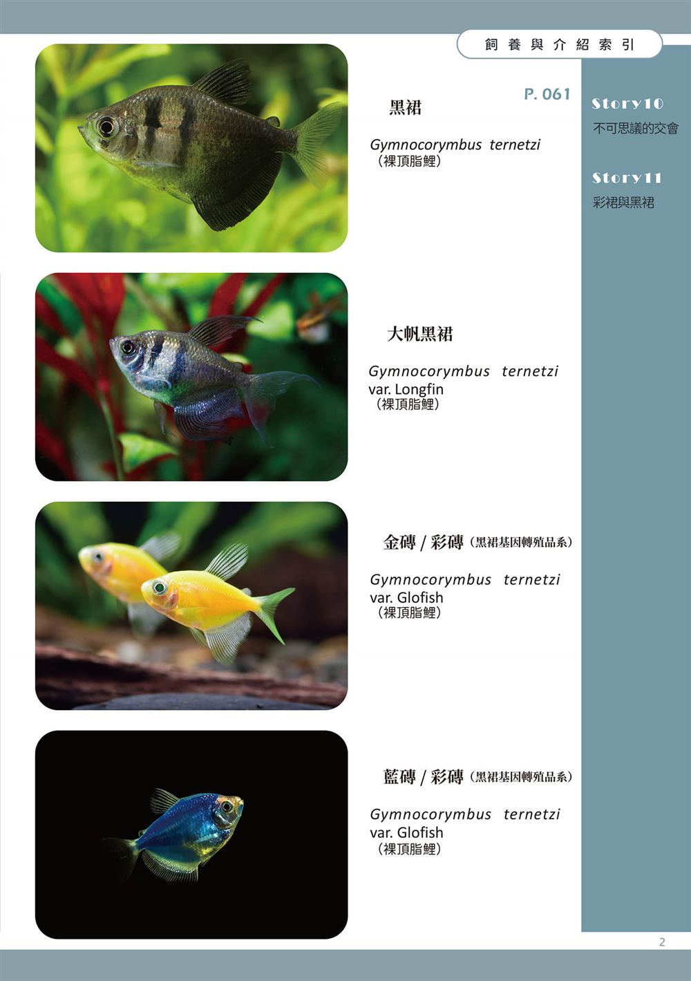 第2卷4
