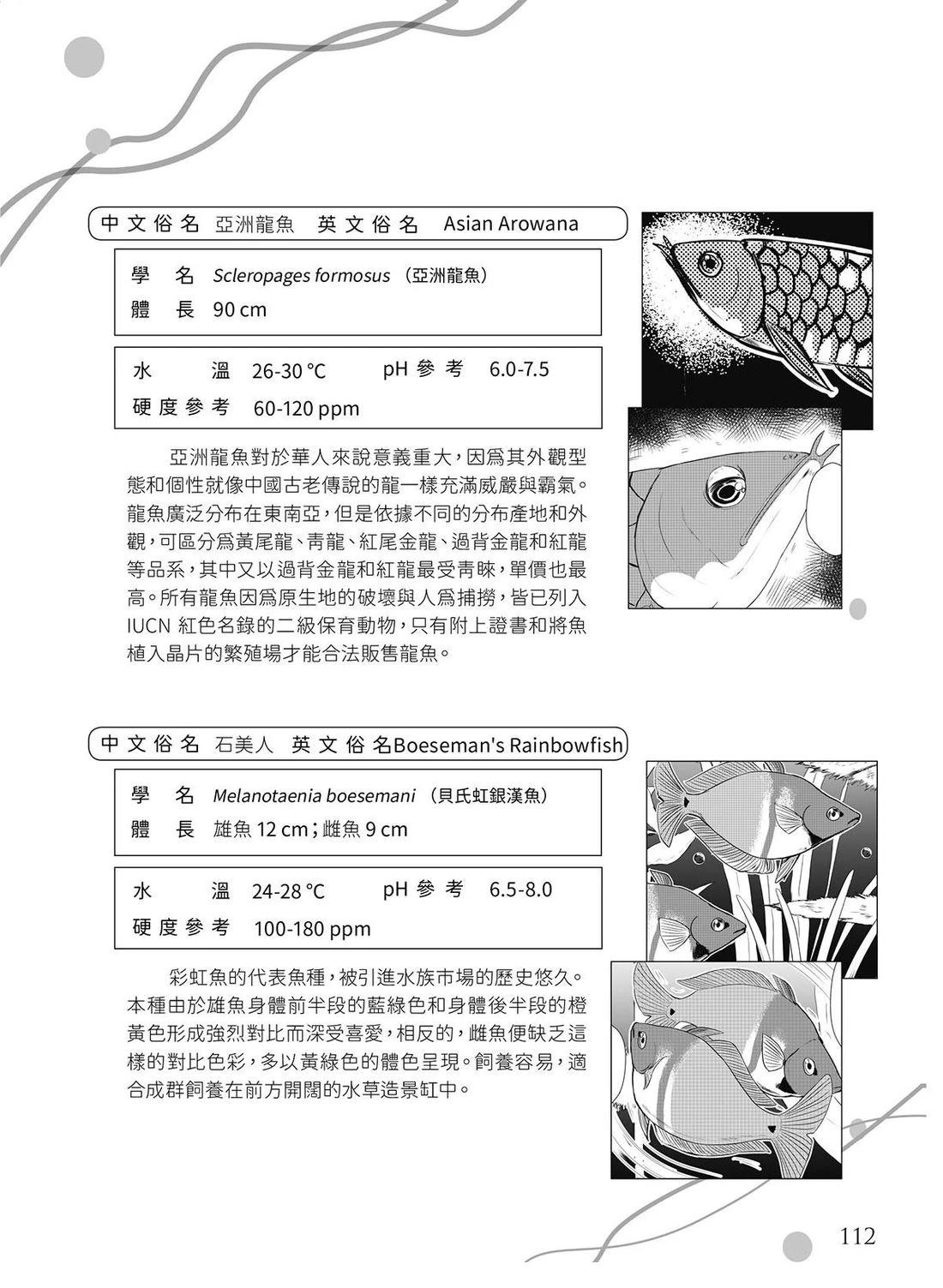 第18回37