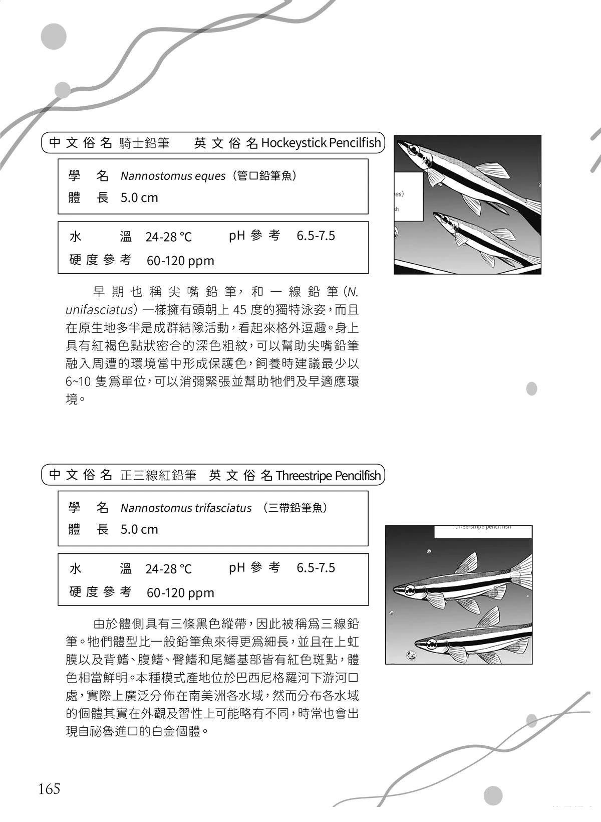 第20回20