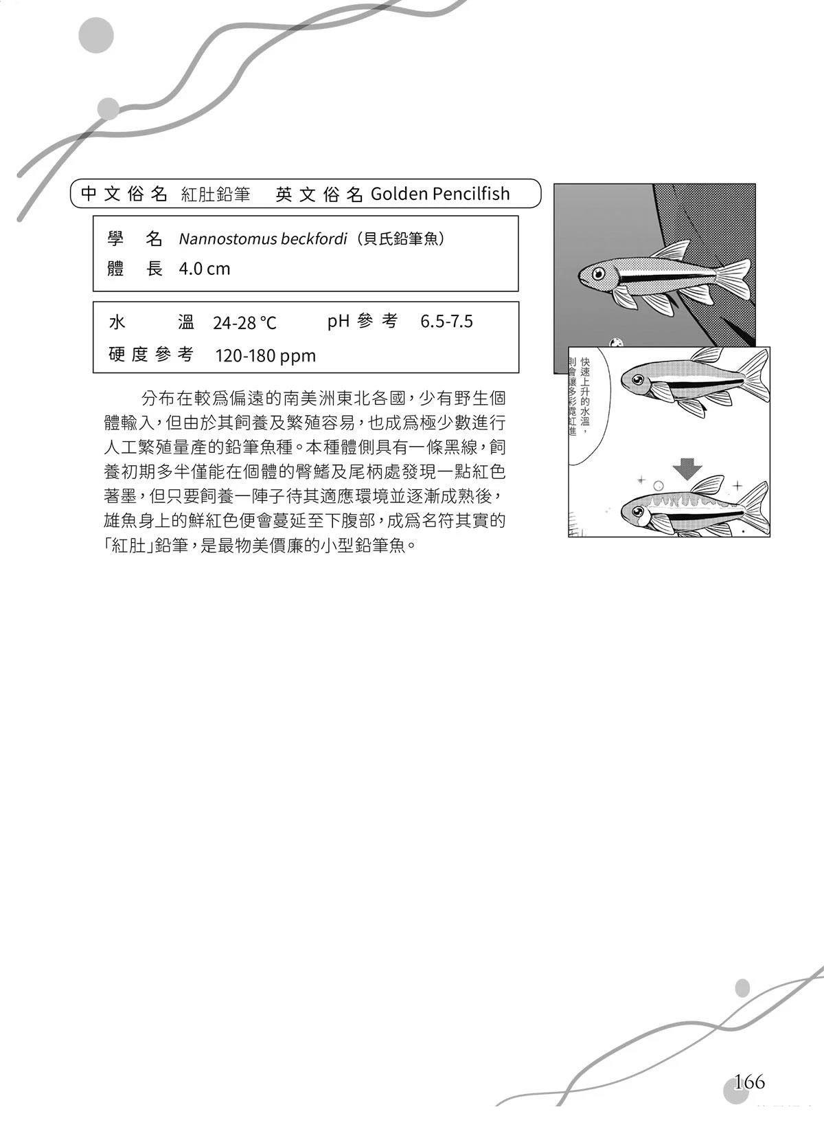第20回21