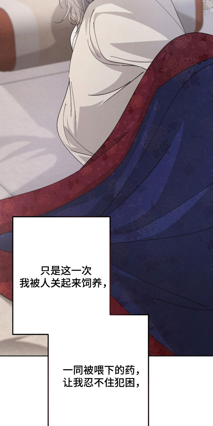 第66话33