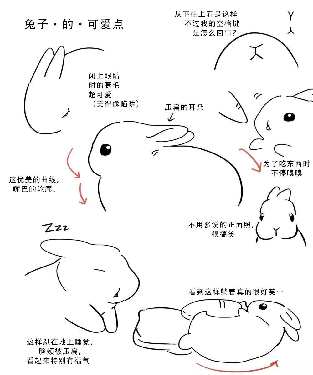 杂图+推特杂图321