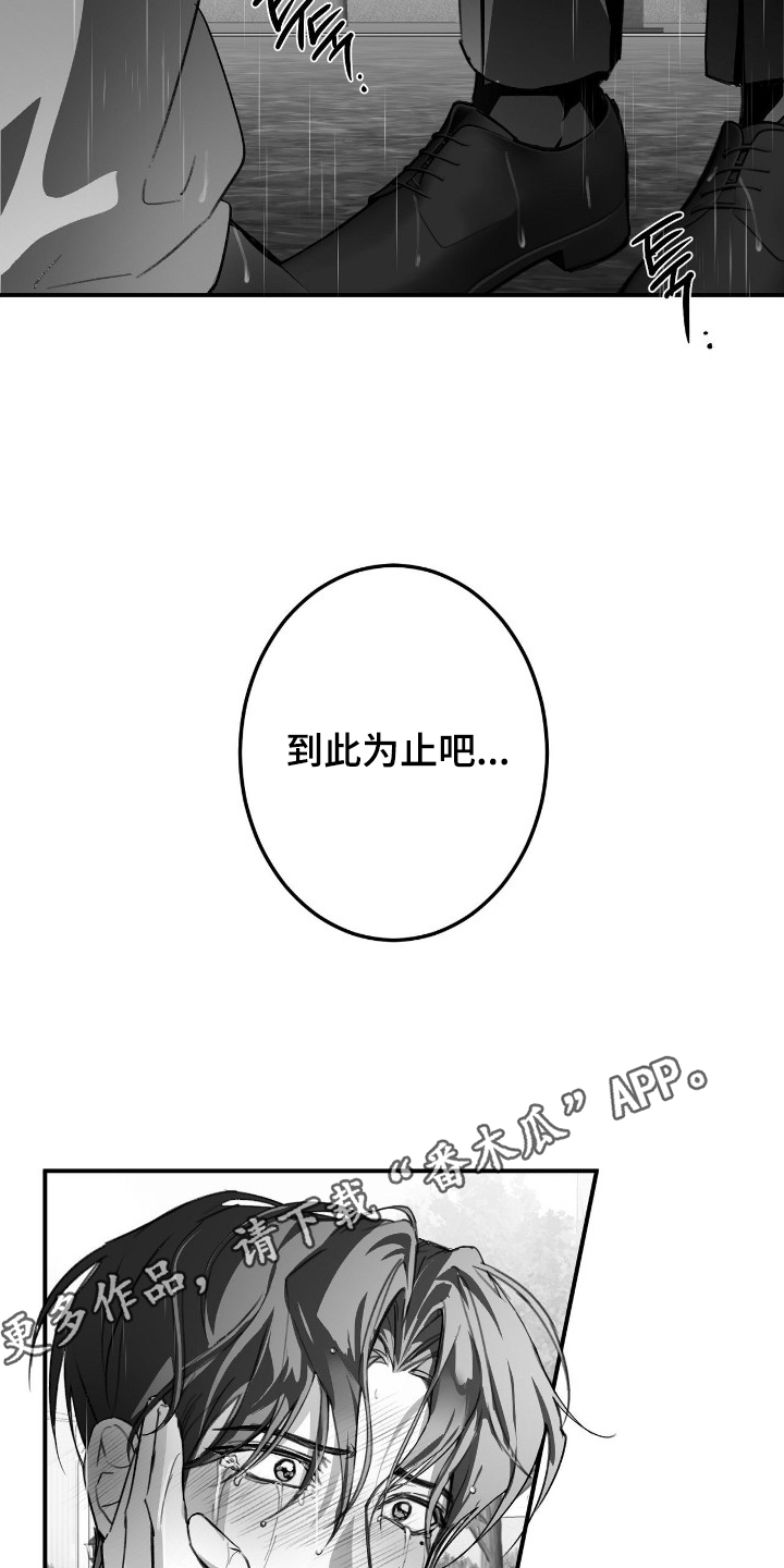 第17话17