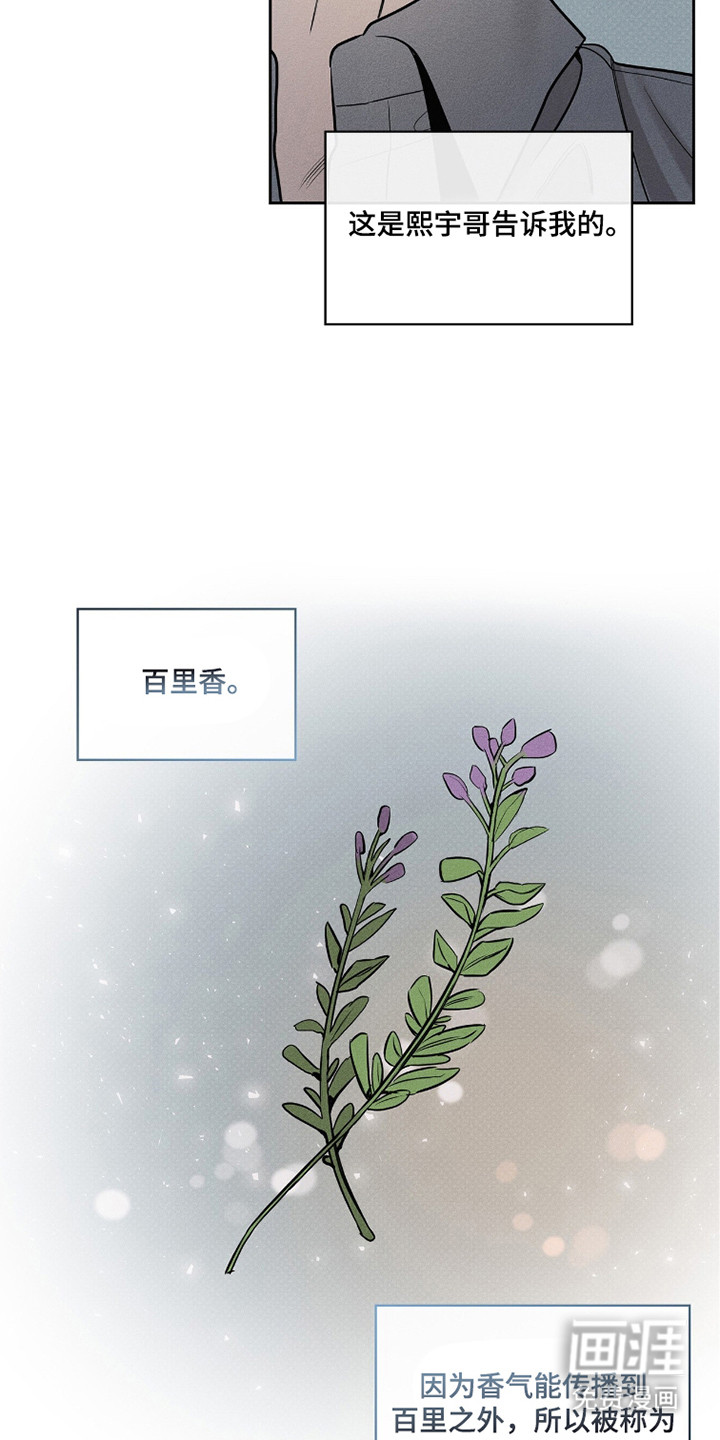 第15话17