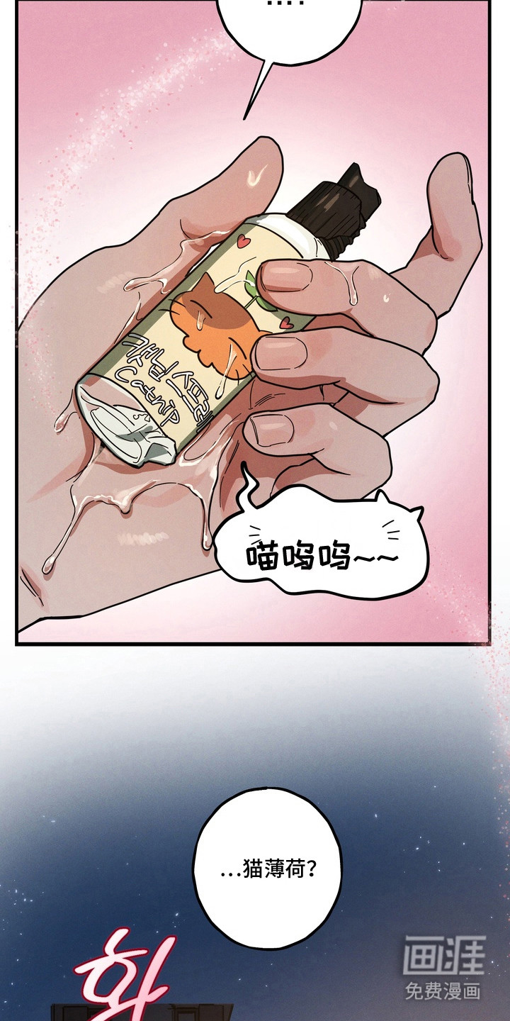 第11话5