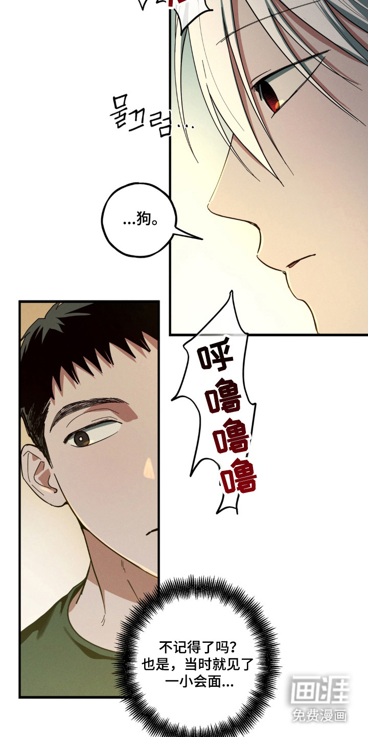 第56话33
