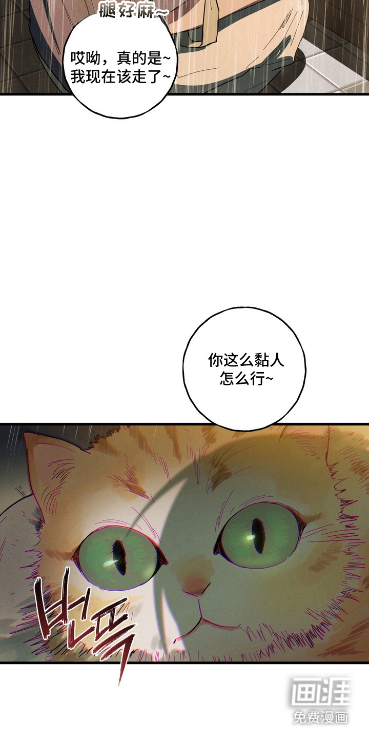 第49话12