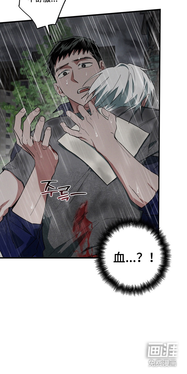 第49话6