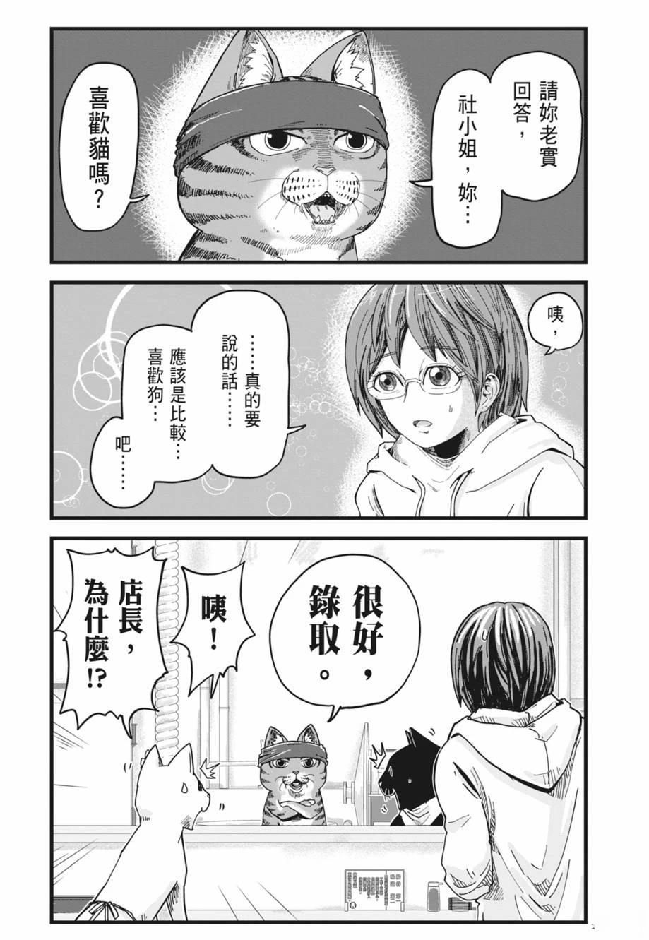 第1卷13