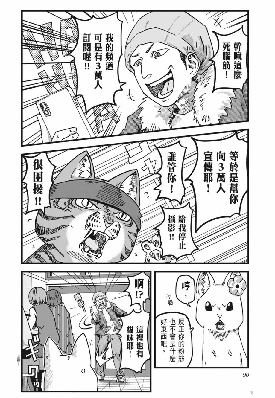 第1卷91