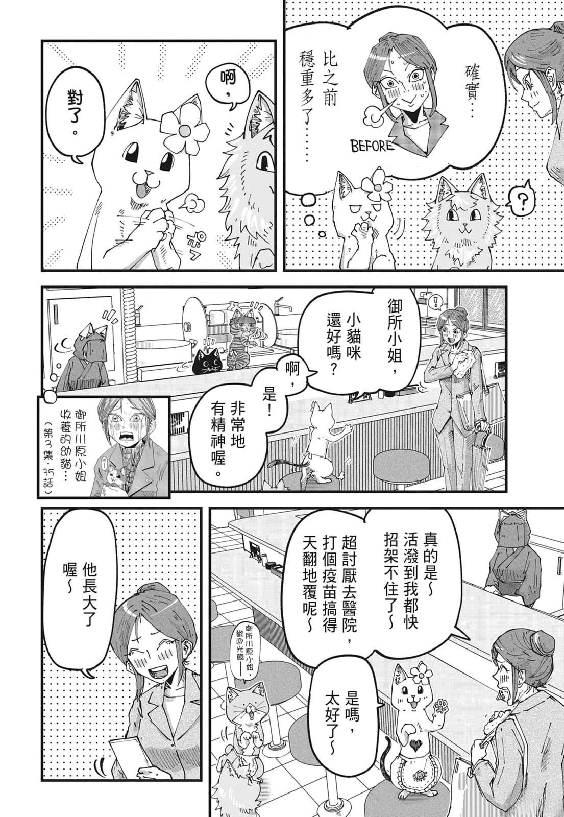 第6卷11