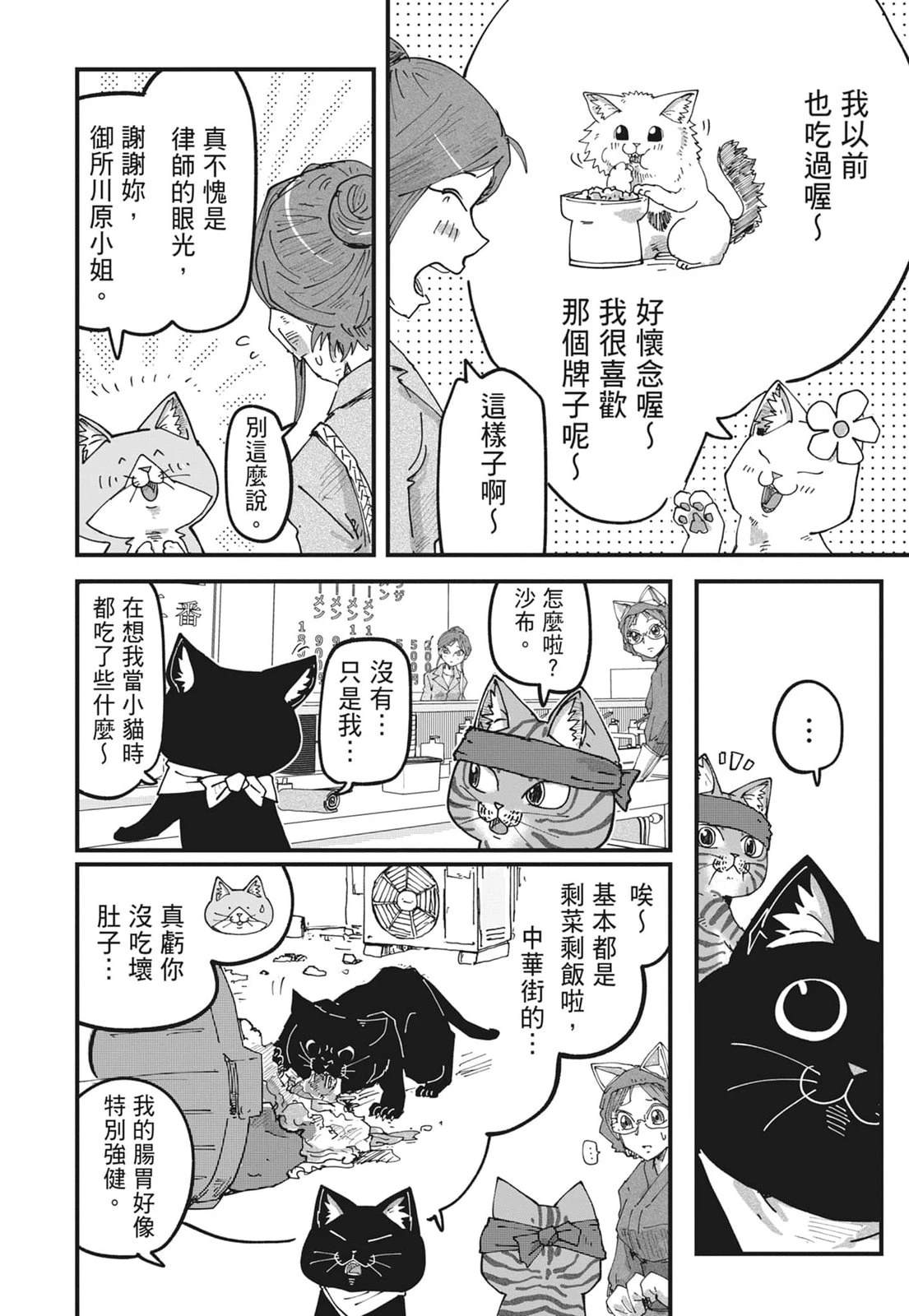 第6卷13