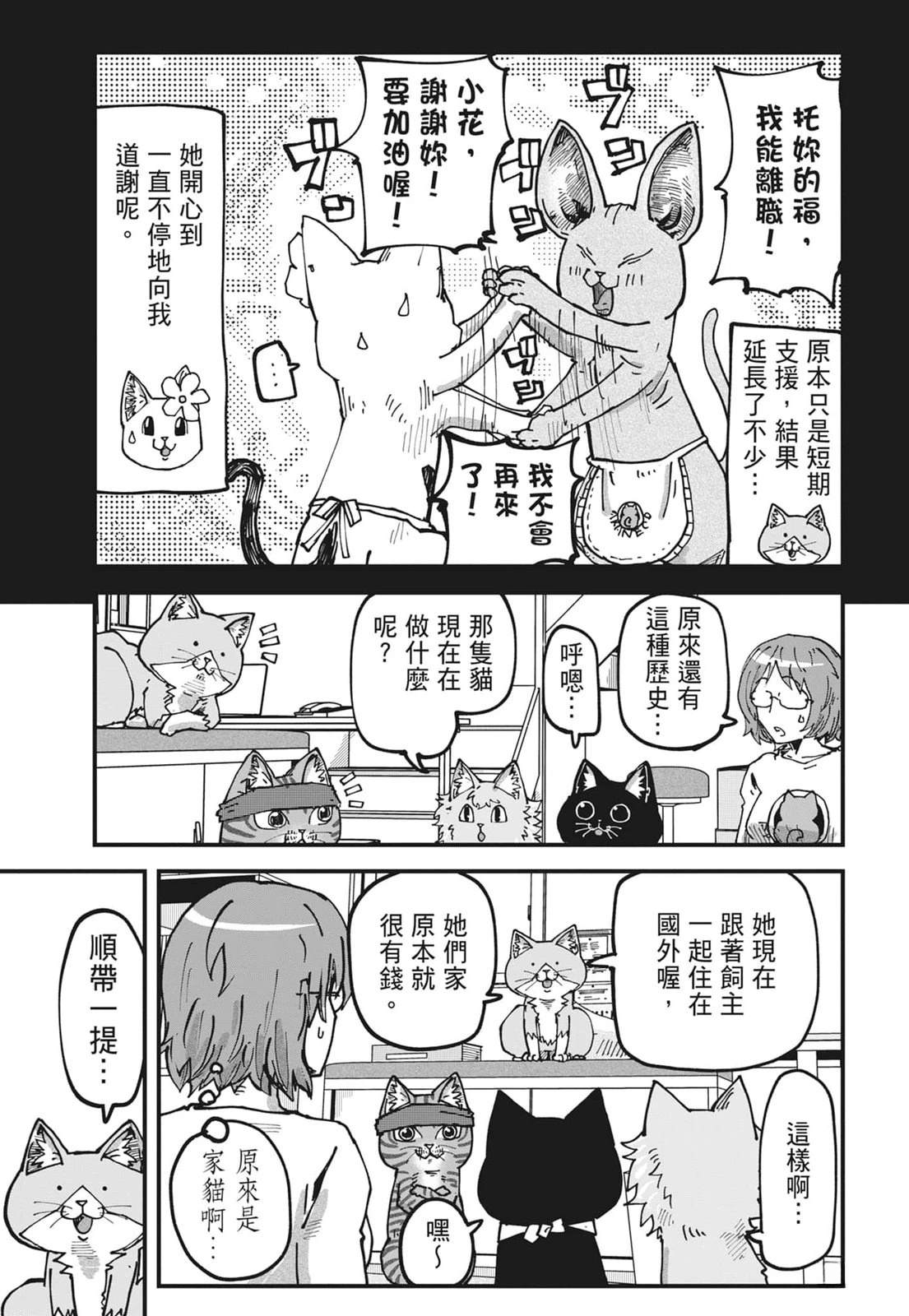 第6卷146