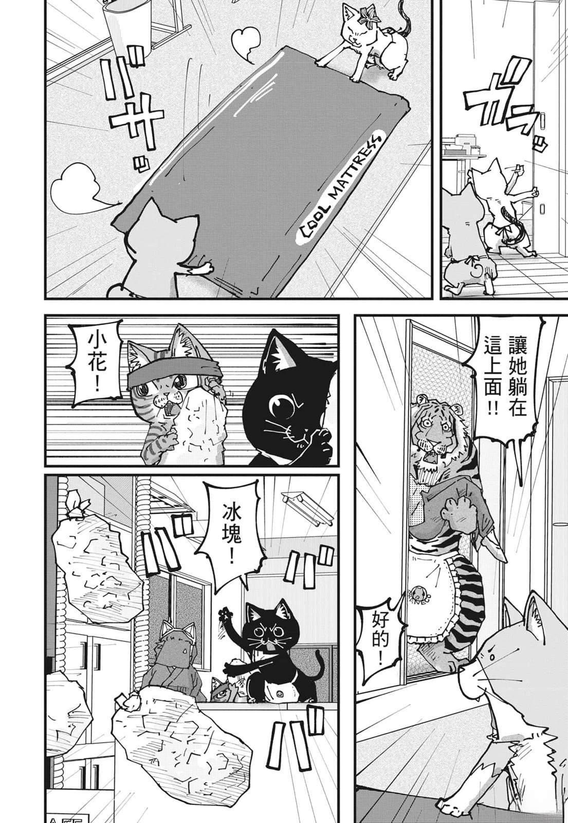第6卷177
