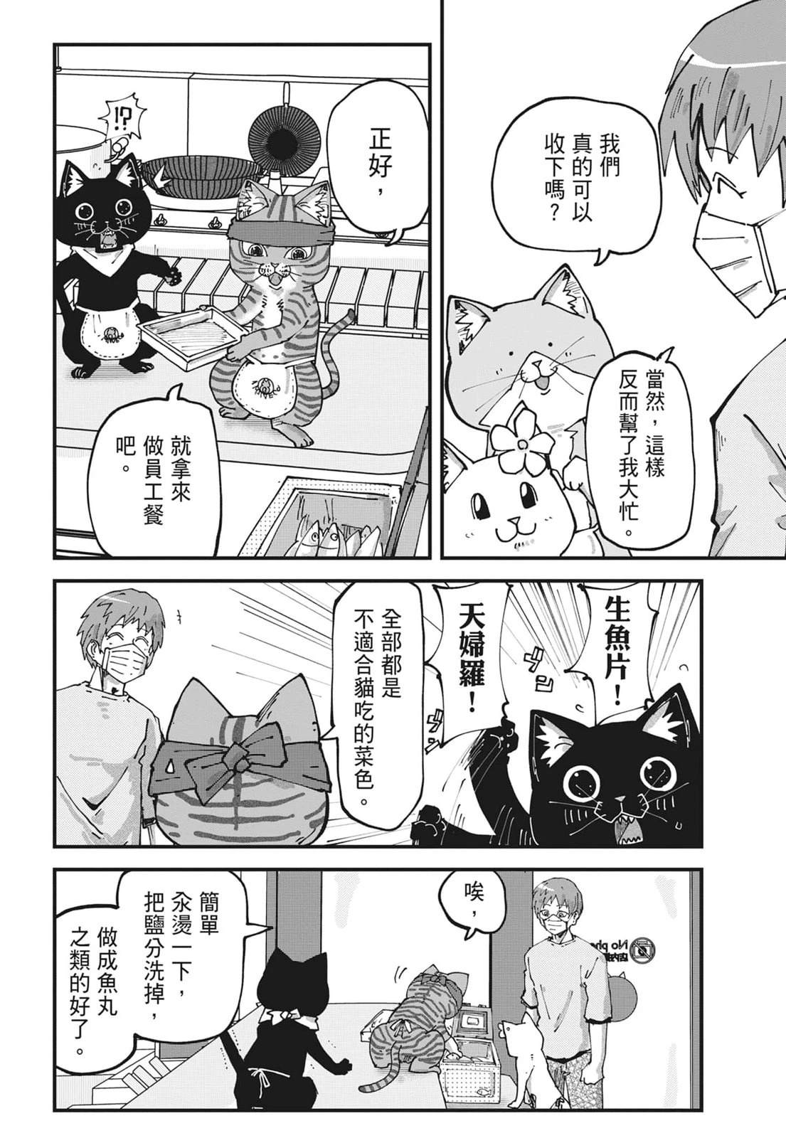 第6卷41
