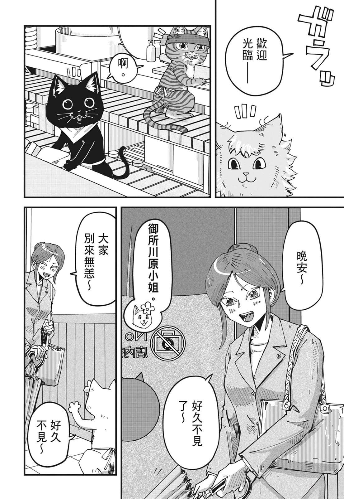 第6卷9