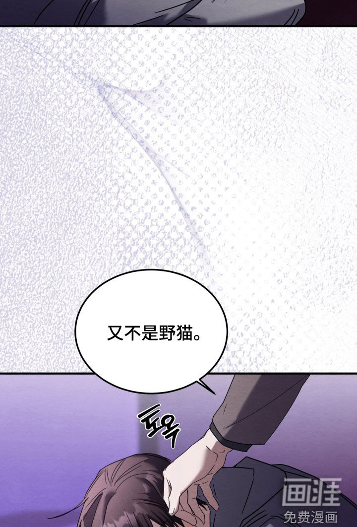 第26话12