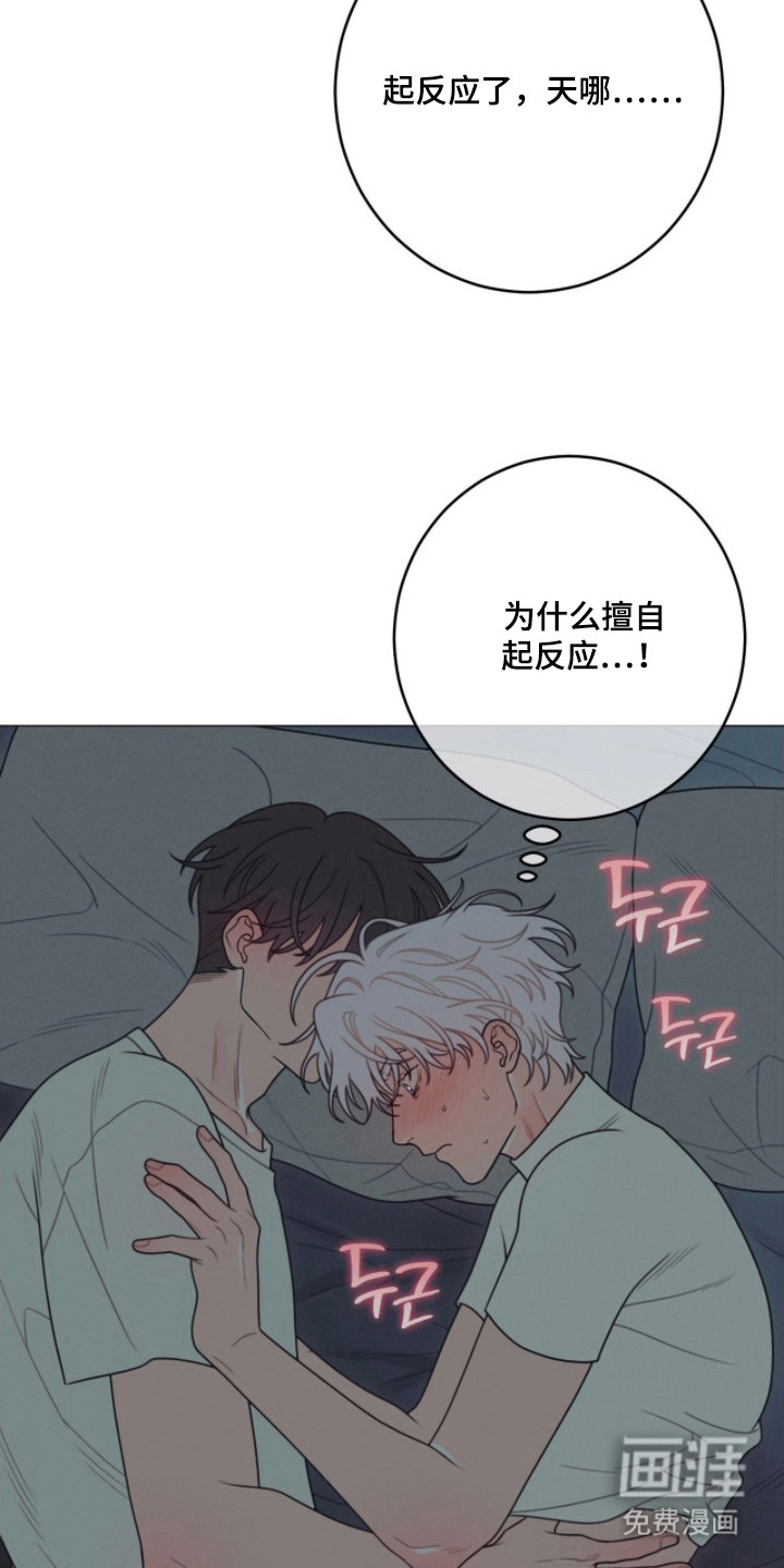 第5话5