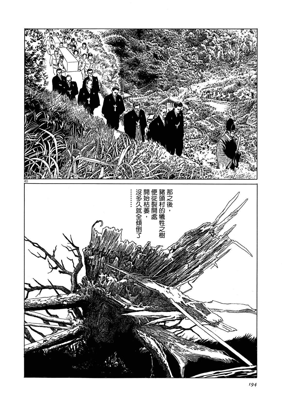 第1卷195