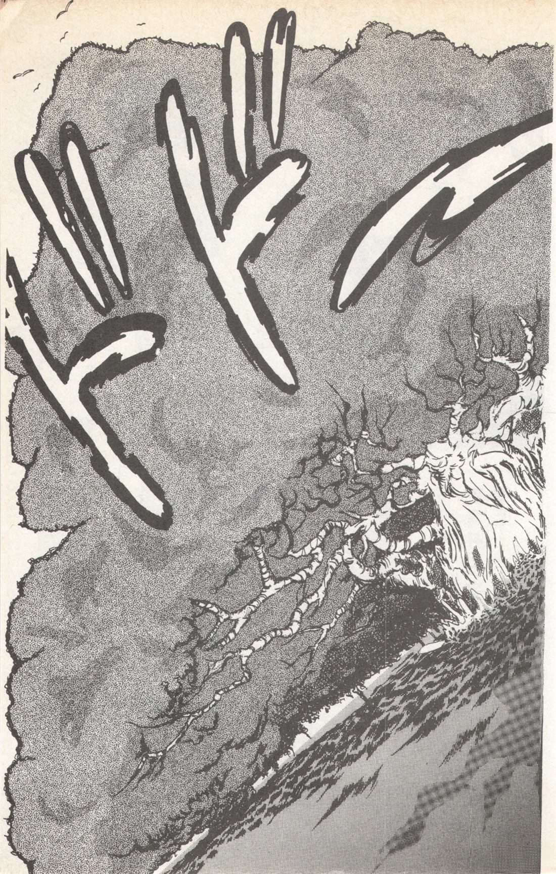 第5卷146