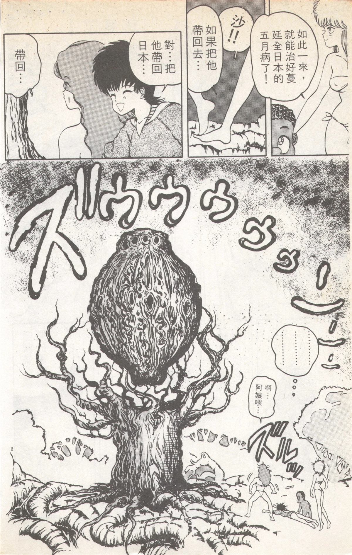 第5卷181