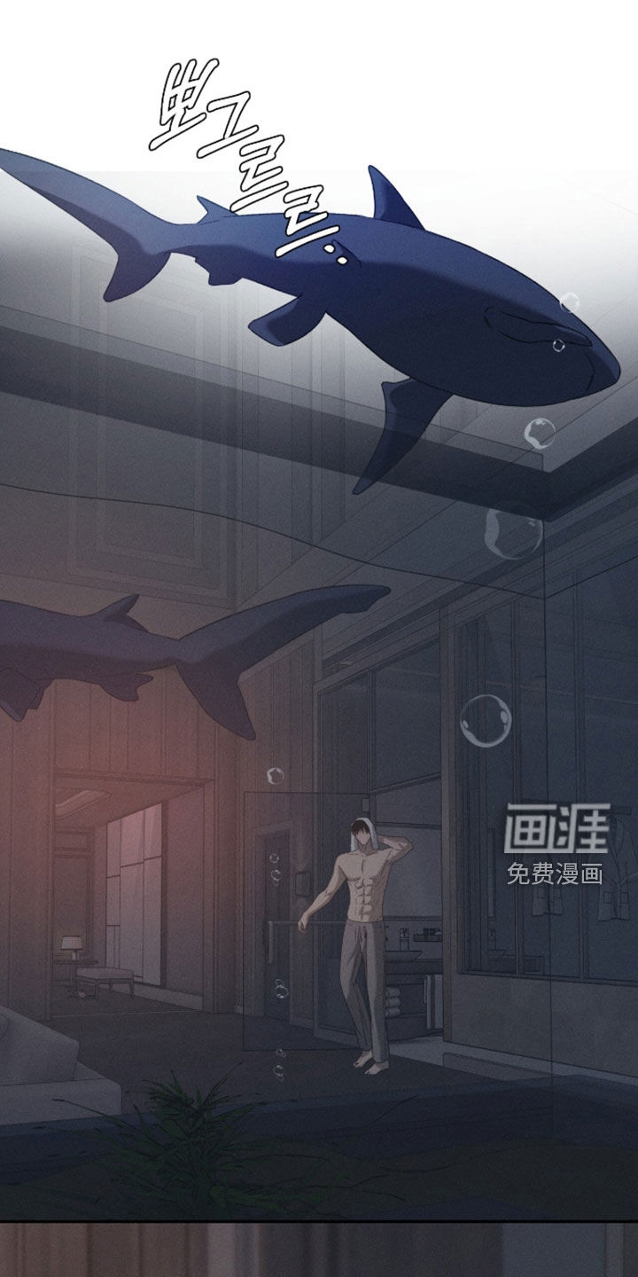 第51话19