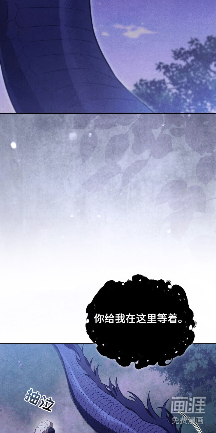 第13话9
