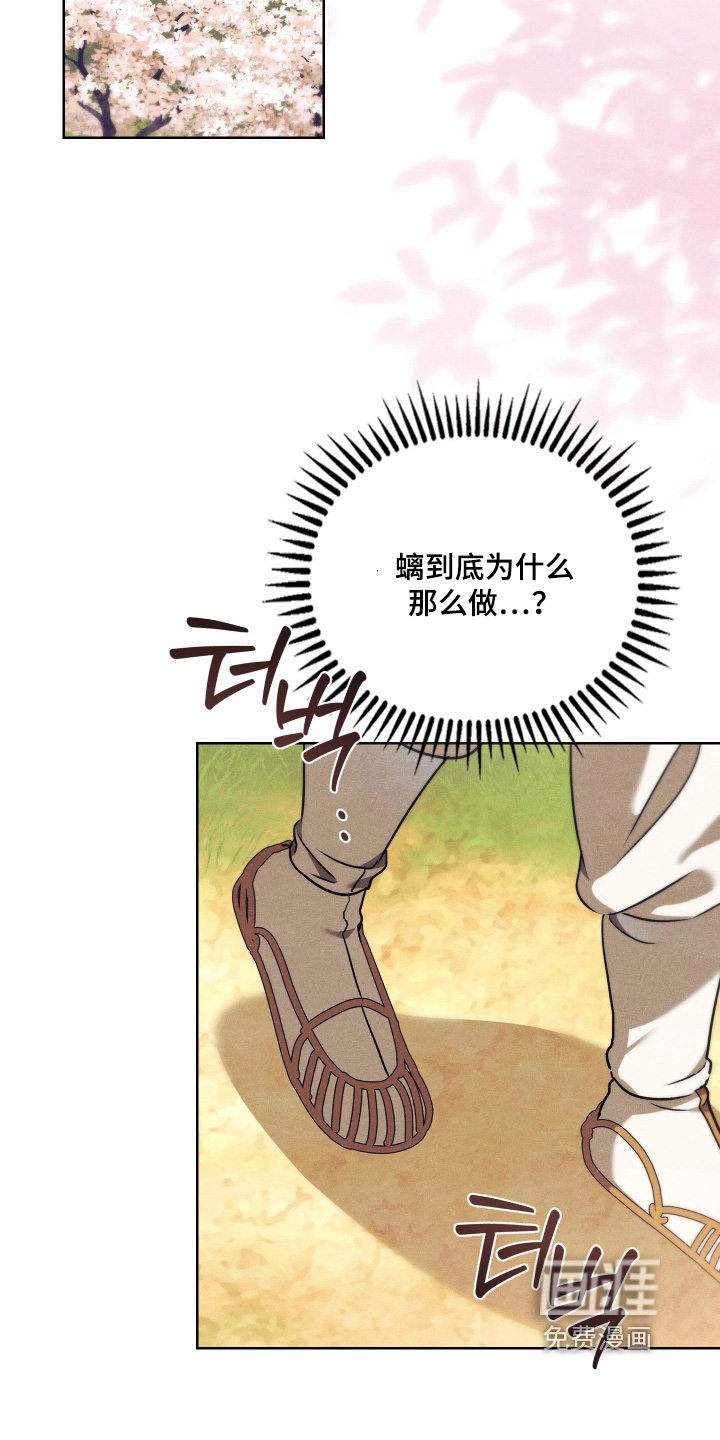 第24话1