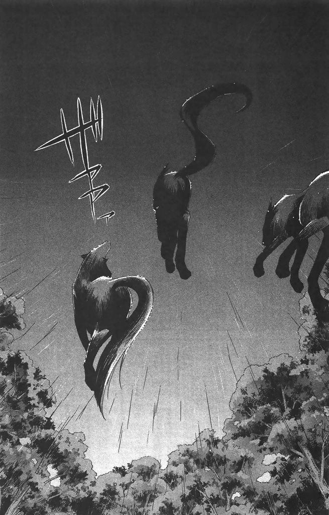 第4卷78