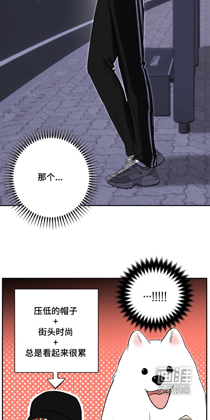 第29话8