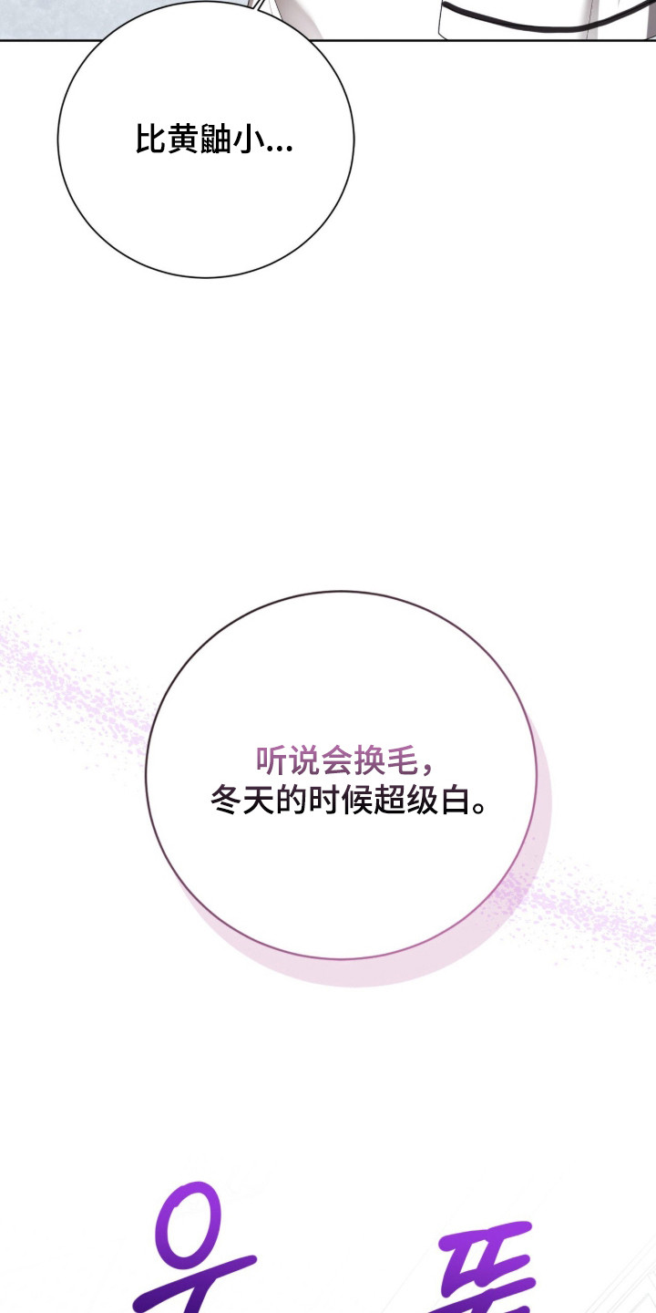 第47话28