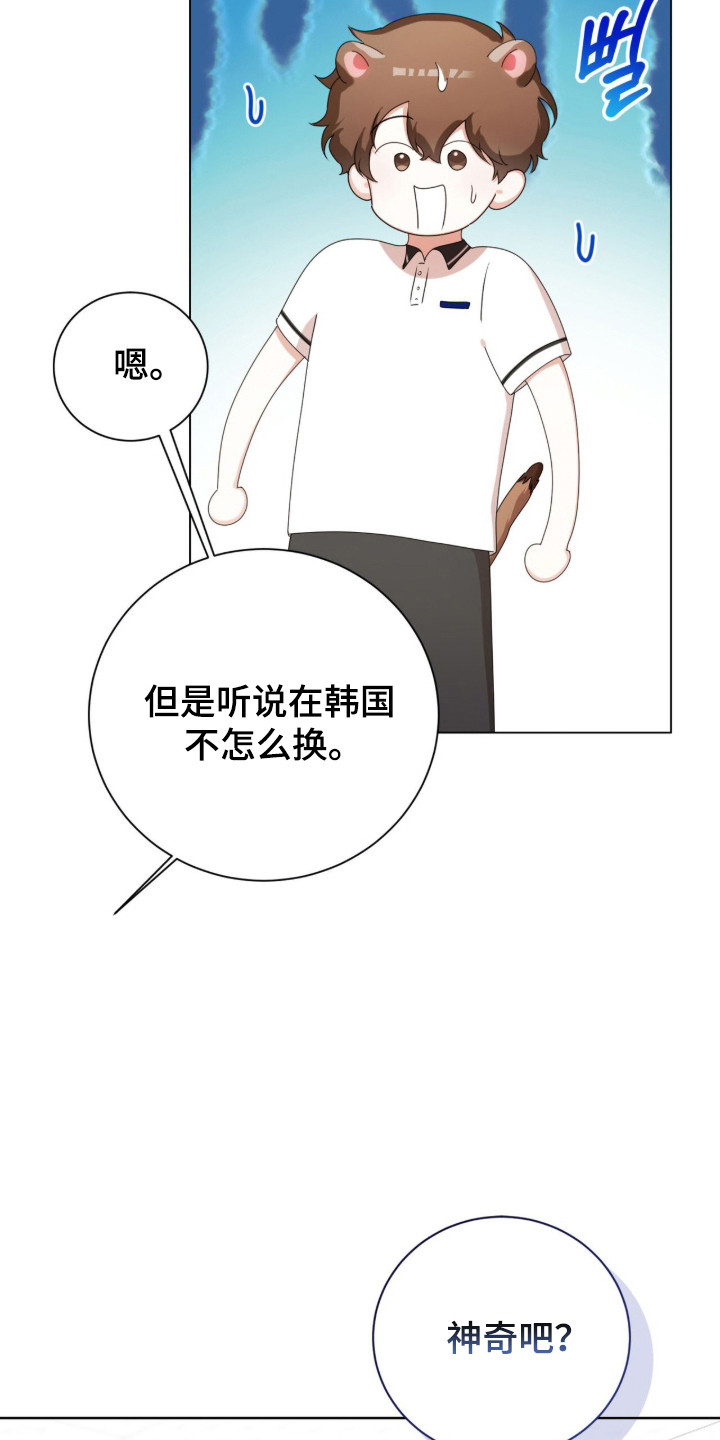 第47话31