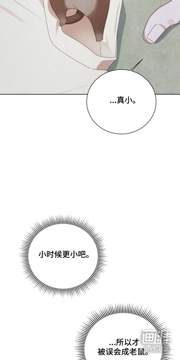 第73话13