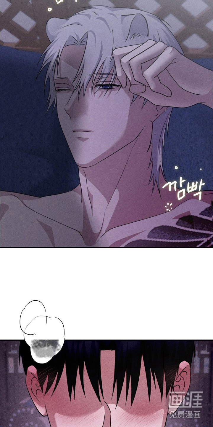 第14话11