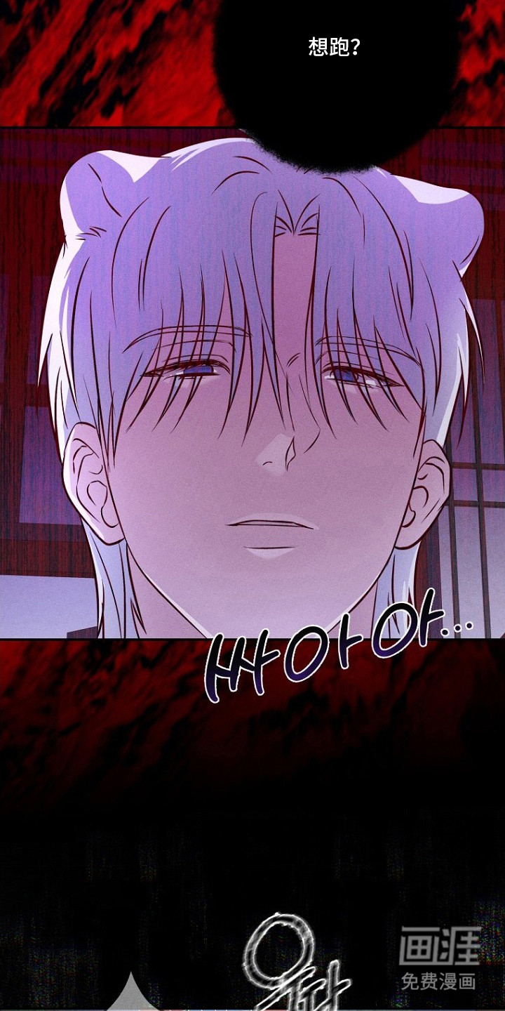 第11话3