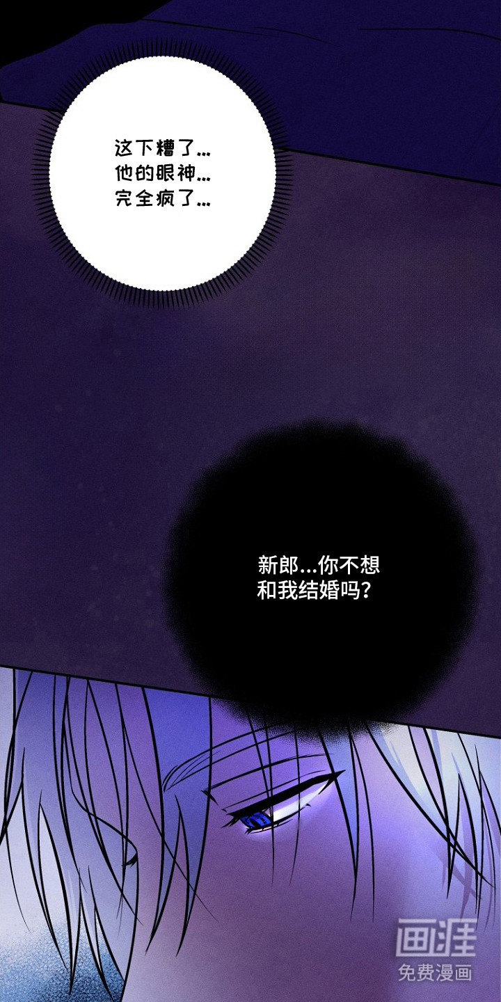 第11话9