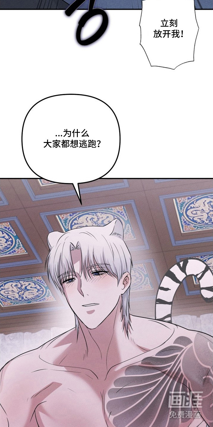 第5话11