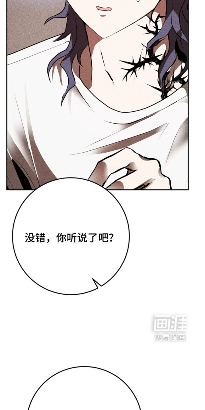 第13话15
