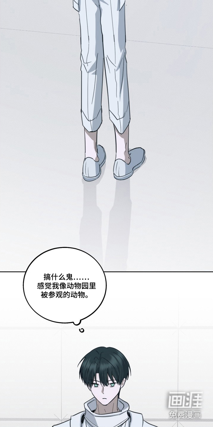 第12话17
