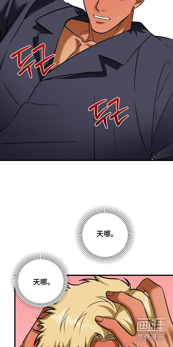 第7话17