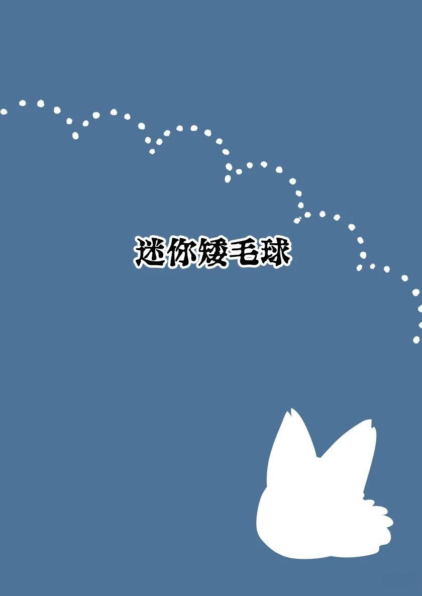迷你矮毛球0