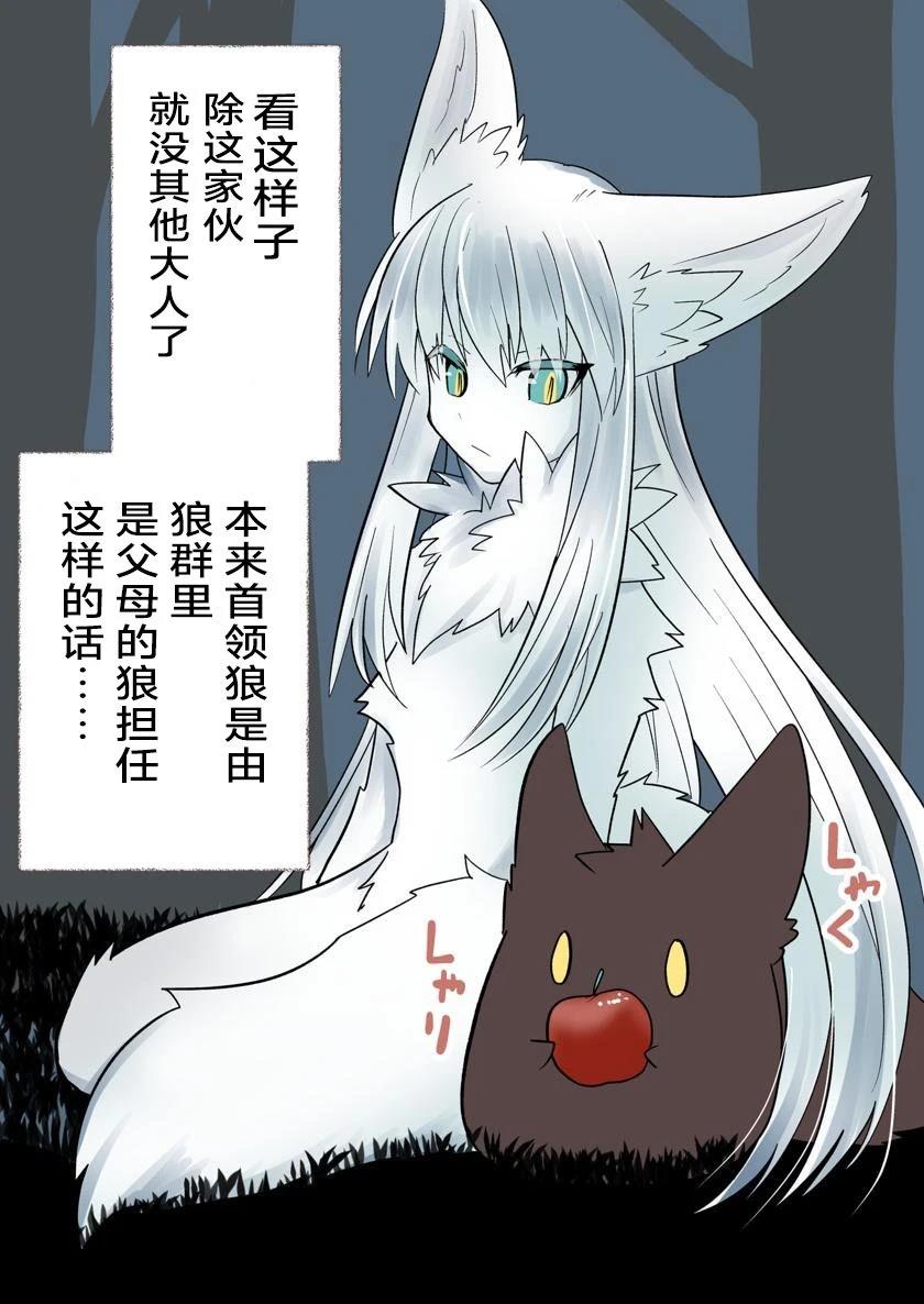 迷你矮毛球1