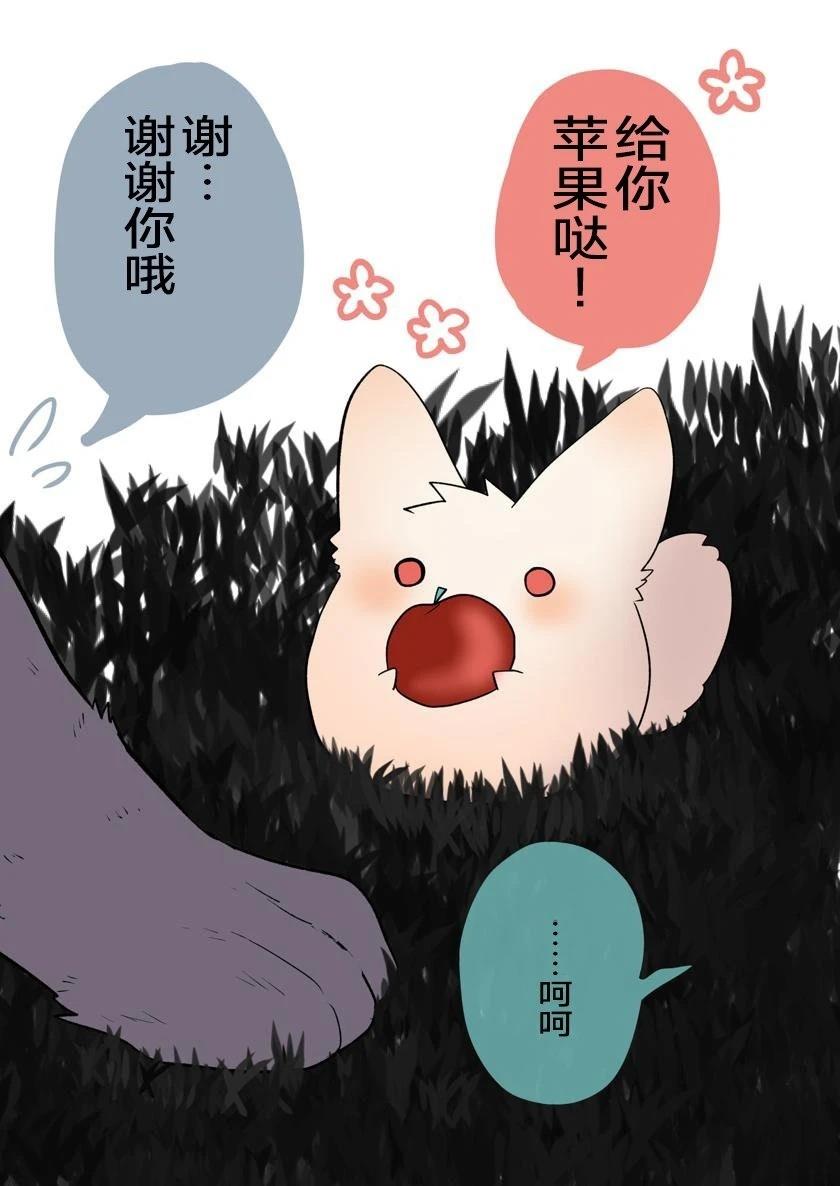 迷你矮毛球5