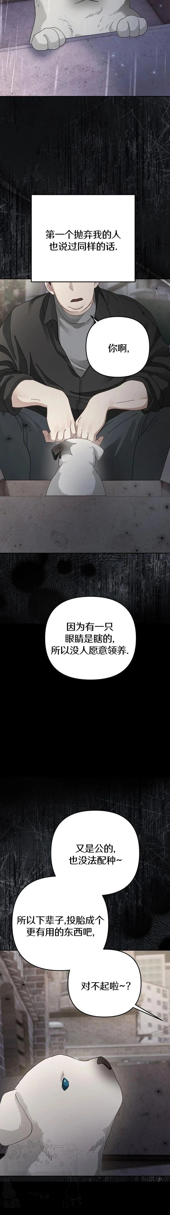 第37话6
