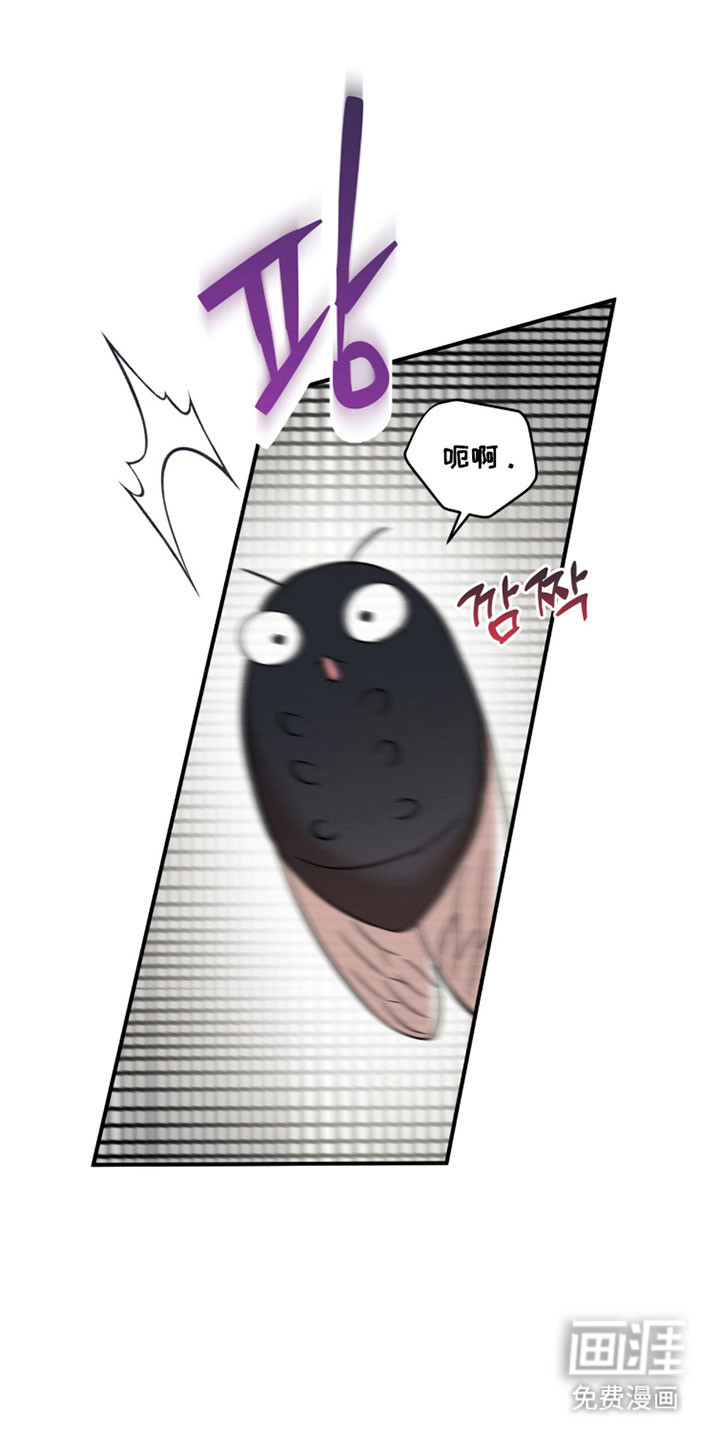 第43话14