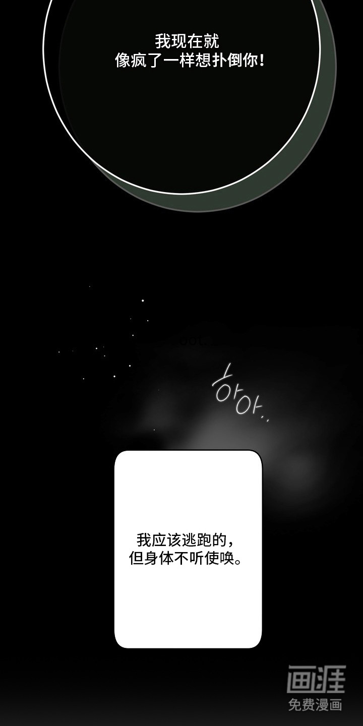 第17话11
