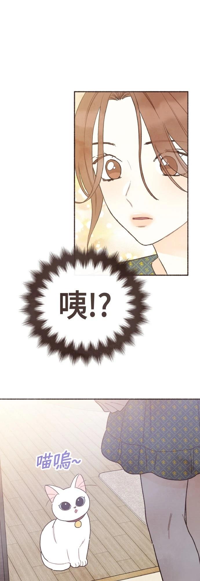 第53话13