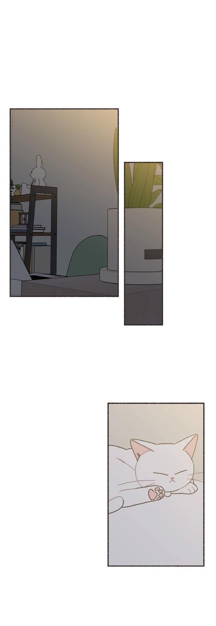第55话0